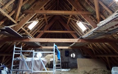 Wonen in een koeienstal