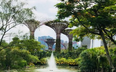 Biofilisch ontwerpen – biophilic design