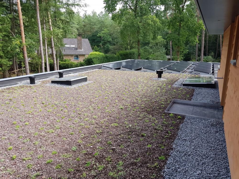 Plat dak uitbouw villa Driebergen Oprit Ecologische villa in Driebergen